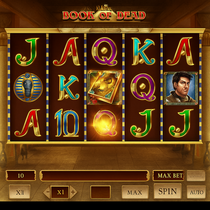 Rainbet - Book of Dead Slot Game - Free Spins Bonus